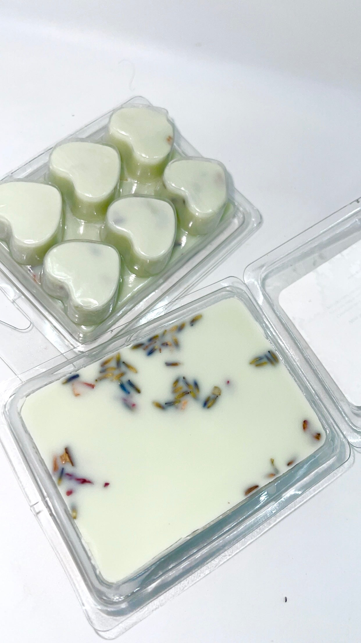 Pine Cone ( HLOIDAY EDITION )